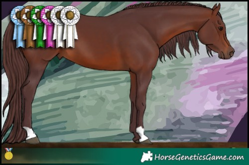 Horse Color:Chocolate Brown 