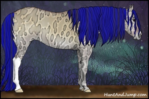 Horse Color:Painted Buckskin Ice Onyx