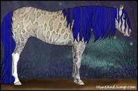 Horse Color:Painted Buckskin Ice Onyx 