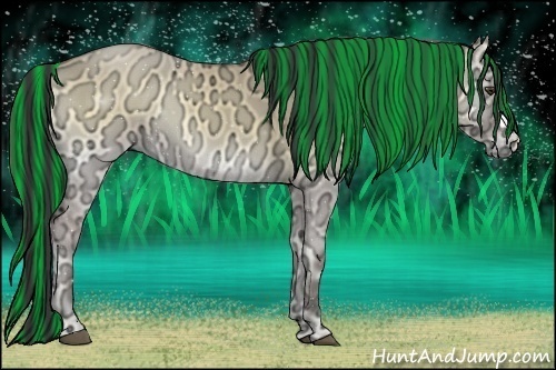 Horse Color:Painted Buckskin Ice Onyx