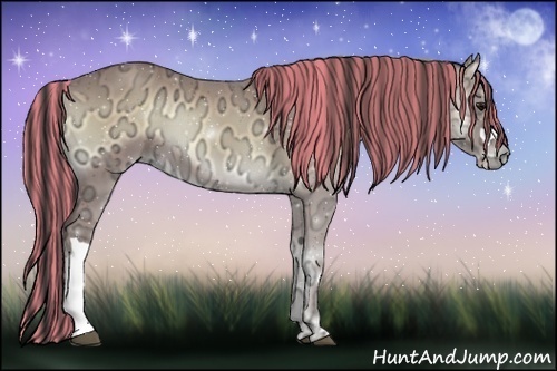 Horse Color:Painted Buckskin Ice Onyx 