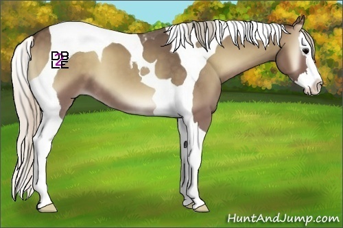 Horse Color:Silver Blue Onyx Splash Tobiano 