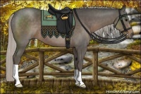 Horse Color:Silver Black 