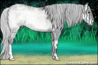 Horse Color:Silver Blue Onyx Chinchilla Ice