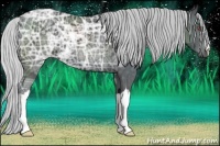 Horse Color:Silver Black Chinchilla Ice 