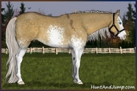 Horse Color:White Spotted Silver Buckskin Dun Splash 