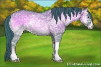 Horse Color:Watercolor Grullo Ice Onyx