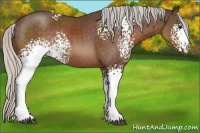 Horse Color:White Spotted Silver Brown Rabicano 