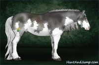 Horse Color:Silver Smoky Black Chinchilla Splash Rabicano 