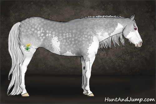 Horse Color:Silver Smoky Grullo Chinchilla Splash