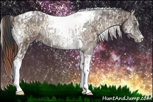 Horse Color:White Spotted Buckskin Ice Pearl Onyx Tobiano Rabicano  and Brown Ice Onyx Tobiano 