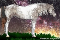 Horse Color:White Spotted Buckskin Ice Pearl Onyx Tobiano Rabicano and Brown Ice Onyx Tobiano