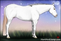 Horse Color:Classic Cream Champagne Frame Appaloosa