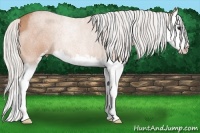 Horse Color:Silver Bay Roan Sabino Splash 