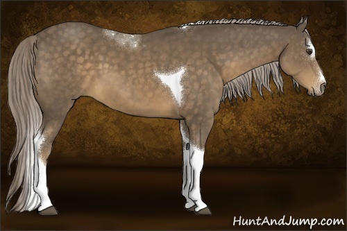Horse Color:Chocolate Palomino Sabino Tobiano