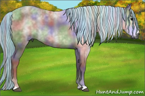 Horse Color:Gray Painted Nacre Black 