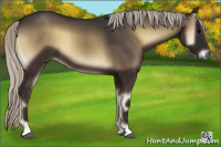 Horse Color:Gray Silver Blue Onyx 