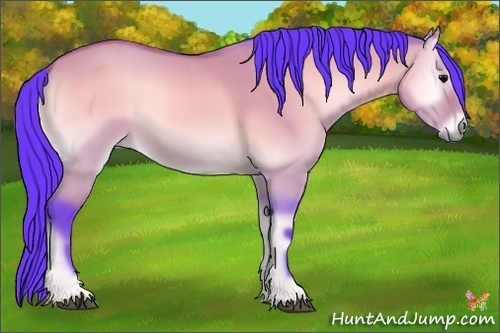 Horse Color:Watercolor Bay Onyx 