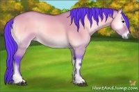 Horse Color:Watercolor Bay Onyx 
