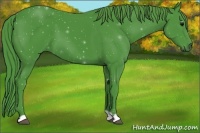 Horse Color:Watercolor Black 