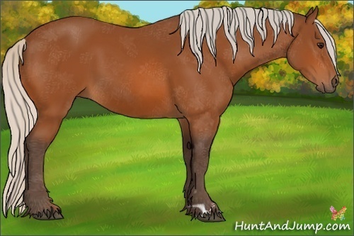 Horse Color:Silver Bay