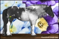 Horse Color:White Spotted Liver Chestnut Tobiano 