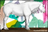 Horse Color:Classic Champagne Roan Dun Splash Frame Varnish 