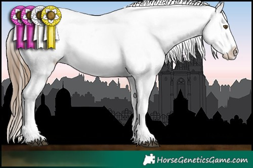 Horse Color:White Spotted Liver Chestnut Ice Pearl Snowcap 
