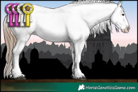 Horse Color:White Spotted Liver Chestnut Ice Pearl Snowcap