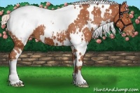 Horse Color:White Spotted Silver Bay Snowcap 