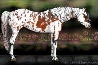 Horse Color:Brown Varnish  and Brown Tobiano Varnish 
