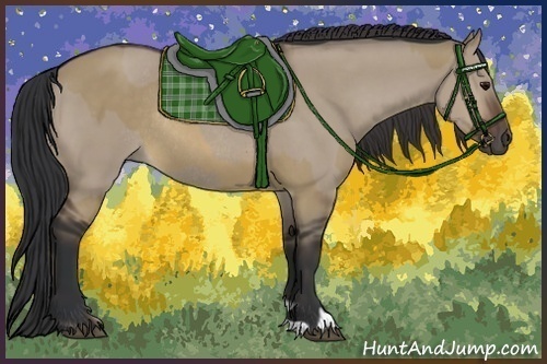 Horse Color:Brown Dun Rabicano  and Brown Dun Rabicano 
