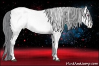 Horse Color:Bay Chinchilla Roan Onyx Snowflake Varnish