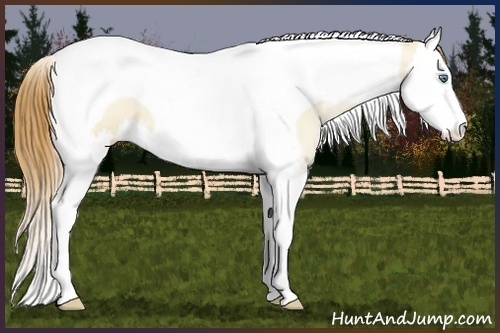 Horse Color:Smoky Grullo Pearl Splash Tobiano 