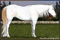 Horse Color:Smoky Grullo Pearl Splash Tobiano