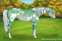 Horse Color:Watercolor White Spotted Silver Black Chinchilla 