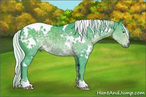 Horse Color:Watercolor White Spotted Silver Black Chinchilla 