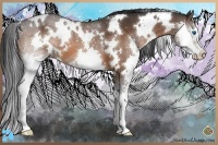 Horse Color:White Spotted Bay Splash