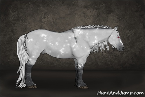 Horse Color:White Spotted Silver Grullo Chinchilla Sabino 