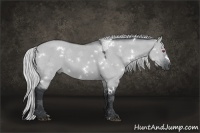 Horse Color:White Spotted Silver Grullo Chinchilla Sabino