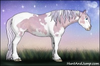 Horse Color:Watercolor Silver Brown Splash Tobiano