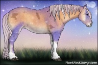 Horse Color:Watercolor Silver Smoky Blue Onyx Ice Sabino Tobiano Rabicano