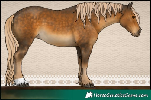 Horse Color:Chocolate Palomino Mushroom