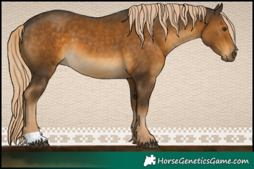 Horse Color:Chocolate Palomino Mushroom 