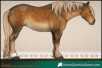 Horse Color:Chocolate Palomino Mushroom 
