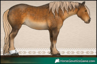 Horse Color:Chocolate Palomino Mushroom 