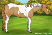 Horse Color:Chestnut Tobiano Varnish 