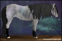 Horse Color:ERROR: UNKNOWN ANOMALY