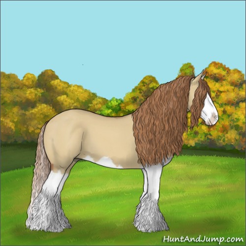 Horse Color:Red Dun Splash 
