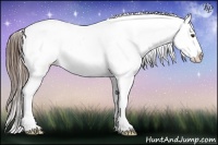 Horse Color:Liver Chestnut Frame Snowcap 